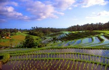 Le gouvernement indonésien attendait cette année un total de 1, 7 million de touristes à Bali. Le gouvernement indonésien attendait cette année un total de 1, 7 million de touristes à Bali.