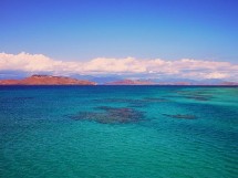 Depuis longtemps, l’île a su attirer une clientèle australienne, néo-zélandaise et japonaise et fait désormais les yeux doux au marché métropolitain Depuis longtemps, l’île a su attirer une clientèle australienne, néo-zélandaise et japonaise et fait désormais les yeux doux au marché métropolitain