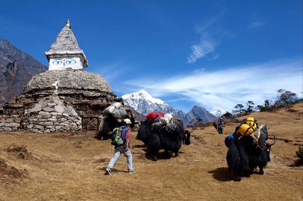 Nomade Aventure concocte 13 voyages avec la Société des Explorateurs Français