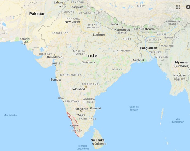 Des cas de virus Nipah ont été décelés dans la région de kérala Des cas de virus Nipah ont été décelés dans la région de kérala