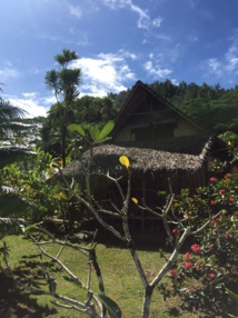 Située sur la méconnue île de Huahine, la pension de famille "Tupuna" propose 4 bungalows au bord du lagon pour environ 200 euros la nuit, un tarif raisonnable pour la Polynésie française © PG TM Située sur la méconnue île de Huahine, la pension de famille "Tupuna" propose 4 bungalows au bord du lagon pour environ 200 euros la nuit, un tarif raisonnable pour la Polynésie française © PG TM
