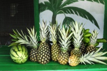 Photo: The Islands of The Bahamas Ministry of Tourism