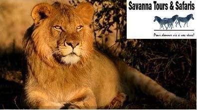 Savanna Tours & Safaris : Programmes & tarifs groupes Afrique du Sud saison 2011 au départ de toute la France