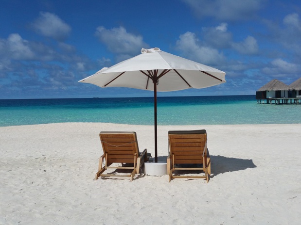 CC0 Creative Commons CC0 Creative Commons