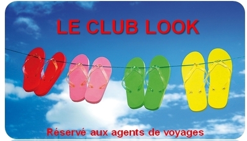 Look Ami : nouveau programme de fidélisation Club Look pour les vendeurs  Look Ami : nouveau programme de fidélisation Club Look pour les vendeurs