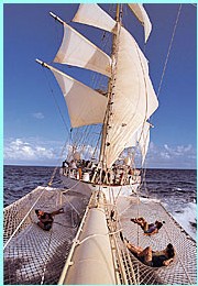 Star Clippers : offre spéciale agents de voyages