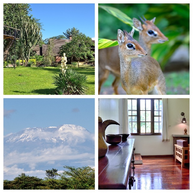 Arumeru River Lodge propose 32 bungalows, un restaurant, un bar, une piscine et un spa et une vue sur le Kilimandjaro - DR