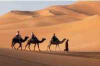 VOYAGES PARADIS VOYAGES PARADIS