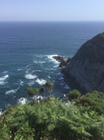 DR : J.P.-C. DR : J.P.-C.