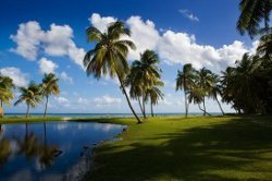 HOTEL LE ROTABAS 2* - GUADELOUPE HOTEL LE ROTABAS 2* - GUADELOUPE