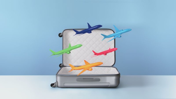 BlueBiz est le programme de fidélité pour les PME, PMI déployé par Air France - DR BlueBiz BlueBiz est le programme de fidélité pour les PME, PMI déployé par Air France - DR BlueBiz