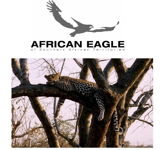 AFRICAN EAGLE AFRICAN EAGLE