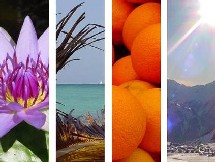 Nice Voyages met en place Resafast Nice Voyages met en place Resafast