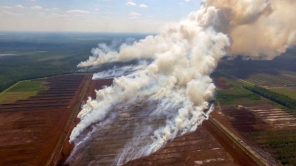 Incendies aussi en Lettonie - Crédit photo : compte Twitter @Lettonie_France