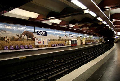 L'Afrique du Sud s'affiche dans le métro parisien