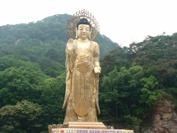 KIMCHI KORE KIMCHI KORE
