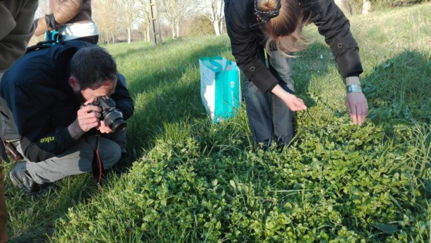 Le sentier propose des balades florales - credit photo : www.sentierbotanique.fr