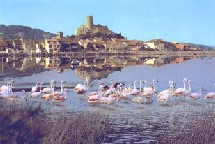 Gruissan : 2èmes Rencontres nationales du Tourisme de Terroir® Gruissan : 2èmes Rencontres nationales du Tourisme de Terroir®