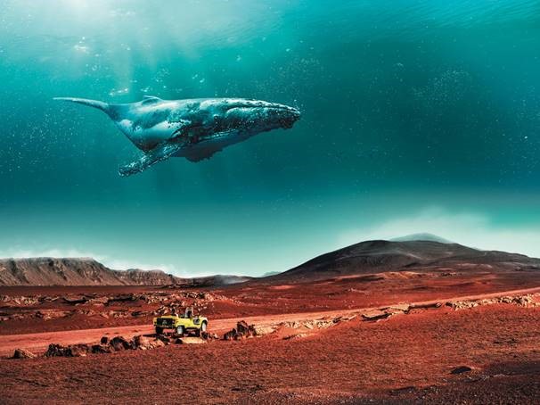 L'Île de la Réunion bat tous les records en 2018 - Crédit photo : IRT L'Île de la Réunion bat tous les records en 2018 - Crédit photo : IRT