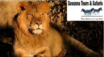 Savanna Tours & Safaris : Programme Afrique du Sud groupes 10 jours 2011 au départ de France et de Belgique