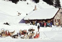 La Compagnie des Alpes : un comité consultatif d'actionnaires La Compagnie des Alpes : un comité consultatif d'actionnaires