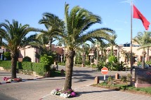 Marrakech Ménara fêtera son 2 millionième passager Marrakech Ménara fêtera son 2 millionième passager