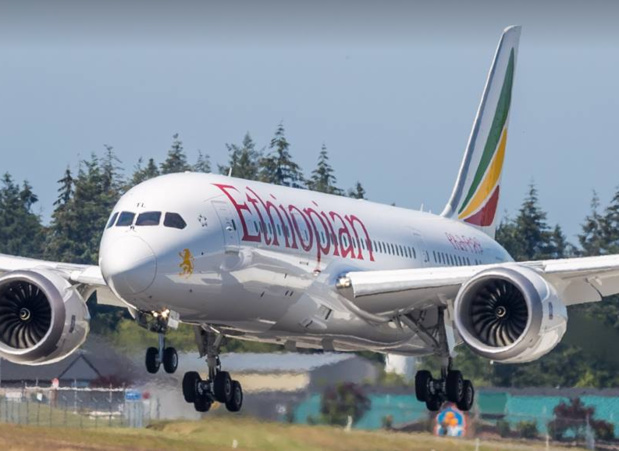 Ethiopian a introduit 14 nouveaux appareils, soit plus d’un appareil par mois - © DR Ethiopian Airlines