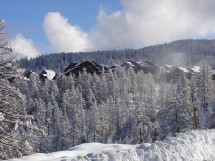 Risoul/Vars : La Forêt Blanche vise 3000m d'altitude