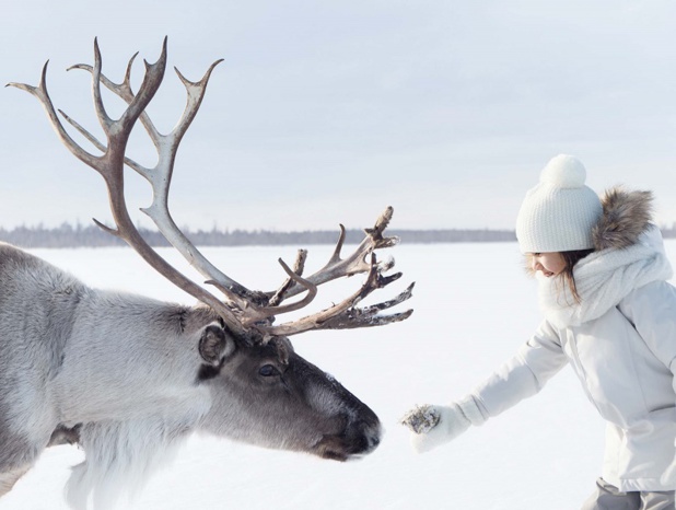 crédit photo : finnair crédit photo : finnair