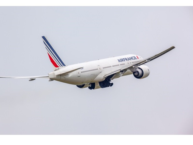 La FNAM représente plus de 95% de la flotte et des activités du secteur du transport aérien français - crédit photo : air france