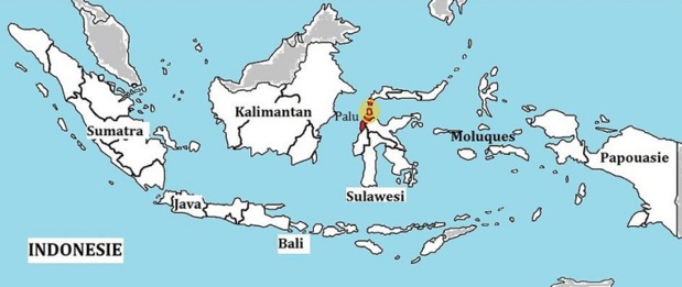Séisme et tsunami en Indonésie : plus de 830 morts
