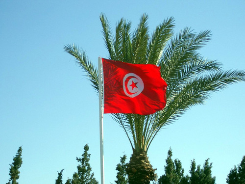 Tunisie : les voyagistes annulent les départs jusqu'à lundi inclus Tunisie : les voyagistes annulent les départs jusqu'à lundi inclus