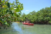 Lucayan National Park. Photo : The Islands of The Bahamas Ministry of Tourism