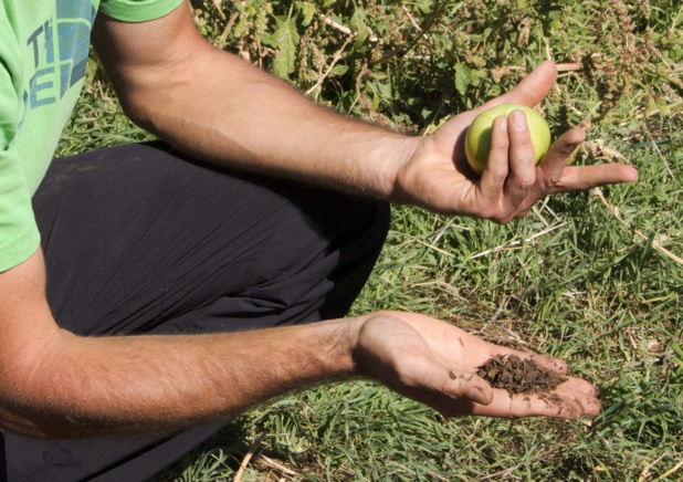 © TourMaG © TourMaG