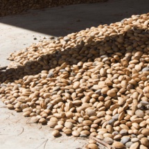 Tourisme durable : TUI soutient un projet d'agroécologie dans le sud de l'Espagne Tourisme durable : TUI soutient un projet d'agroécologie dans le sud de l'Espagne