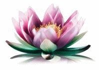 APSARA CONSULTING APSARA CONSULTING