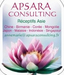 APSARA CONSULTING APSARA CONSULTING