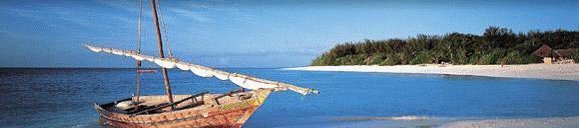 SAVANNA TOURS & SAFARIS : Zanzibar, la solution alternative ideale pour vos séjours balnéaires familiaux et individuels au départ de BRU et CDG SAVANNA TOURS & SAFARIS : Zanzibar, la solution alternative ideale pour vos séjours balnéaires familiaux et individuels au départ de BRU et CDG