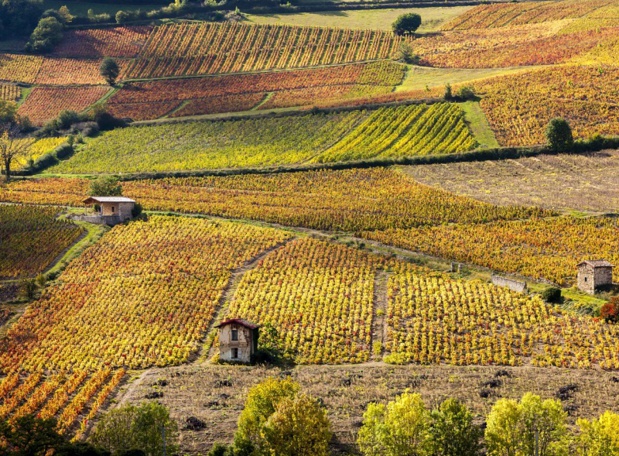 « L’œnotourisme, un atout clé au cœur de la destination France » sera le thème de cette journée de réflexion et d’échanges - DR : Paul GRECAUD