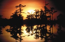 Clair de lune sur le Bayou Clair de lune sur le Bayou
