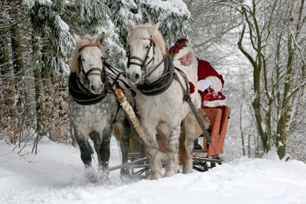 Le Père Noël cherche des assistants pour la saison 2018 2019, en Laponie. Avis aux candidats ! - Pixabay Le Père Noël cherche des assistants pour la saison 2018 2019, en Laponie. Avis aux candidats ! - Pixabay
