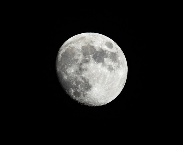 SpaceX annonce avoir signé son premier vol commercial vers la lune avec un particulier. Il s'agit d'un homme d'affaires japonais. - Photo Depositphotos Feverpitch