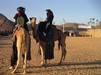 Algérie Tours Algérie Tours