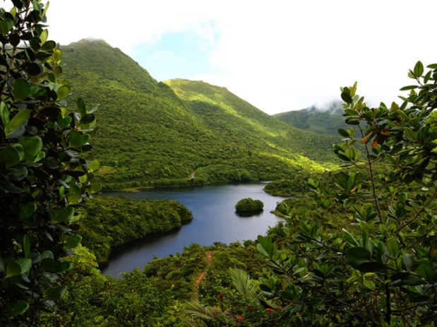 La Dominique est prête pour la saison 2018-2019 La Dominique est prête pour la saison 2018-2019