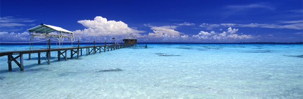 Tahiti : nouveau positionnement et communication renforcée Tahiti : nouveau positionnement et communication renforcée