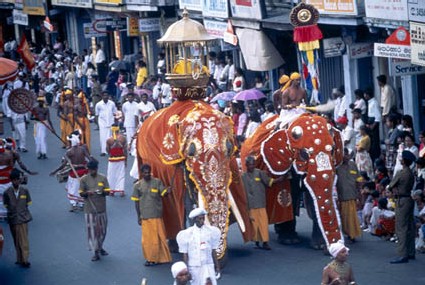 Sri Lanka : nouvelle opération ''Des prix doux pour le printemps'' Sri Lanka : nouvelle opération ''Des prix doux pour le printemps''