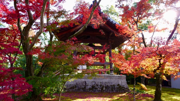 Les couleurs automnales du Japon © Laurie Medina