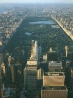 New York New York