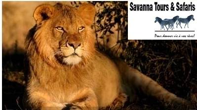 Savanna Tours & Safaris:  Circuit Mali individuels et petits groupes 2011