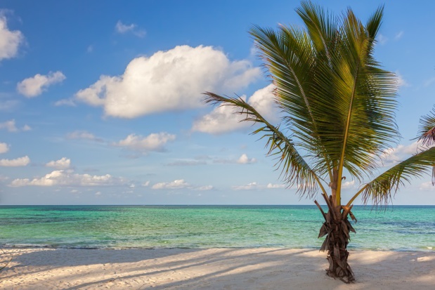 Tanzanie : le pays lance son e-visa